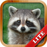 Animals for Kids MOD Unlimited Money 9.6.2