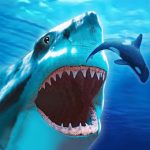 The Shark MOD Unlimited Money 1.2.0