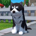 Dog Simulator 3D – Animal Life MOD Unlimited Money 1.1.00